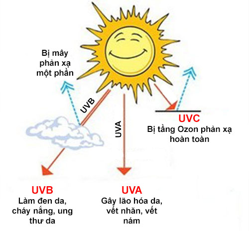 Tác hại của tia UV - chỉ số spf
