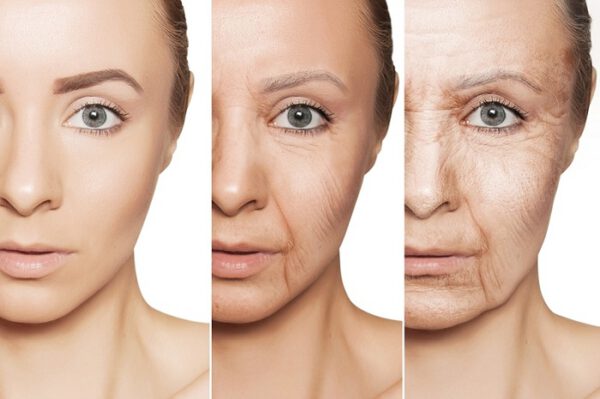 Lượng collagen và chất chống oxy hoá sẽ giảm dần theo độ tuổi.