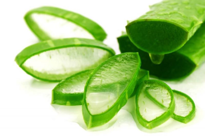 Nha đam có hiệu quả trong việc trị nám.
