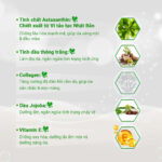 Thành phần trong viên serum Oribe