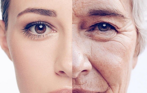 Tác động của các yếu tố nội, ngoại sinh gây nên sự lão hóa.