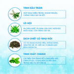 Thành phần khăn lau hạ sốt Oribebe 0+