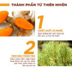 Kem nghệ Oriss