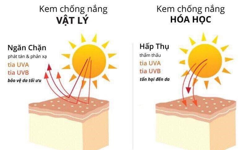 Có hai loại kem chống nắng là kem chống nắng vật lý và kem chống nắng hóa học.