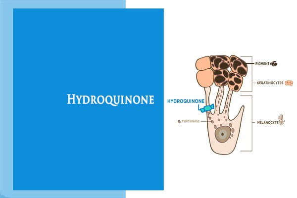 Đây chính là hoạt chất vàng trong trị nám - serum dưỡng trắng da trị nám