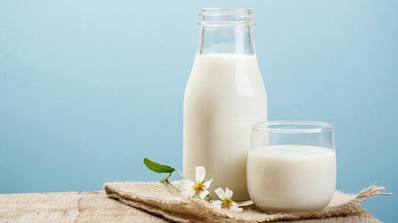 Trong sữa tươi có chứa nhiều thành phần có lợi cho làn da