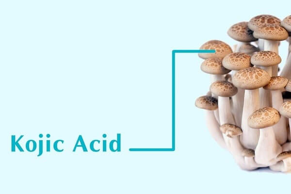 Xuất thân từ nguồn gốc tự nhiên hoạt chất làm trắng da Kojic acid đã trở nên quen thuộc trong các sản phẩm làm đẹp - serum dưỡng trắng da trị nám