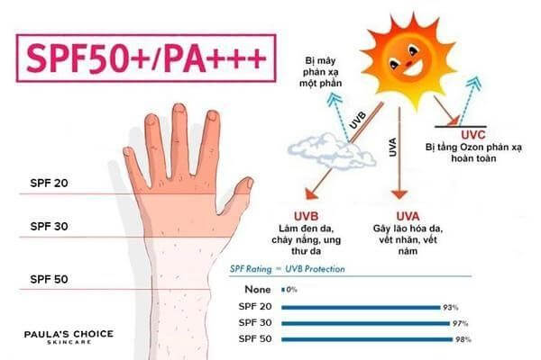 Ý nghĩa của chỉ số SPF, chỉ số SPF từ 50 trở lên cho khả năng chống tia UVA trên 98% - trị nám tàn nhang